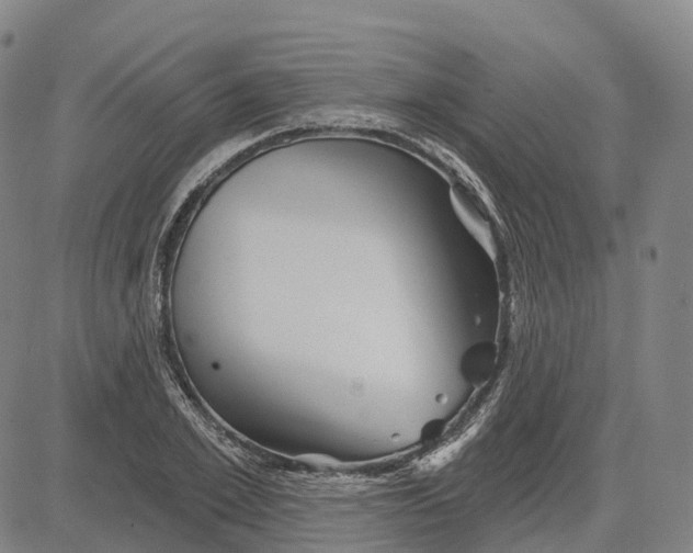 X0000081420981200702021623