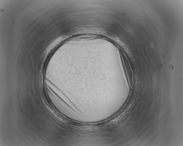 X0000081420982200702021623