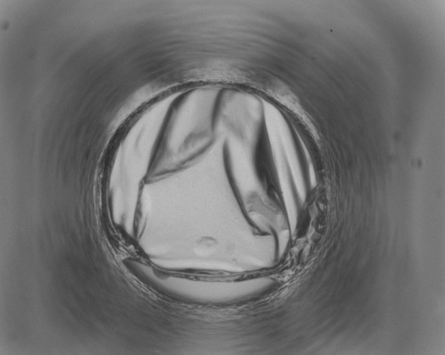 X0000081420983200702021623