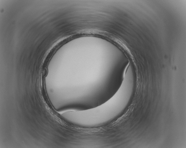 X0000081420984200702021623