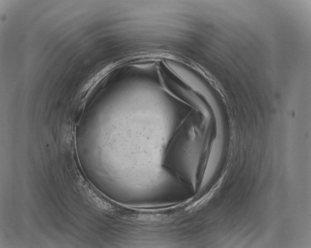 X0000081420985200702021623