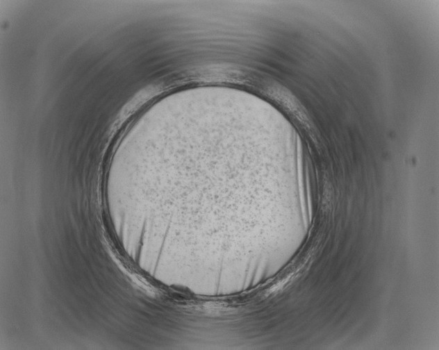 X0000081420986200702021623