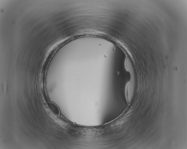 X0000081420987200702021623