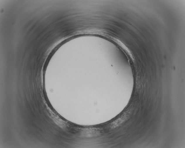 X0000081420988200702021623