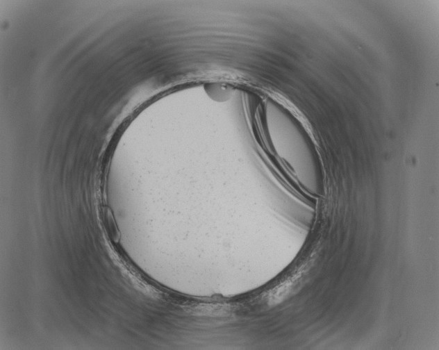 X0000081420989200702021623