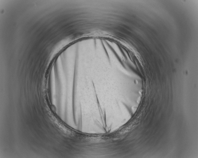 X0000081420990200702021623