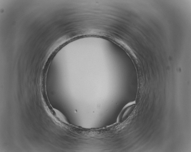 X0000081420991200702021623