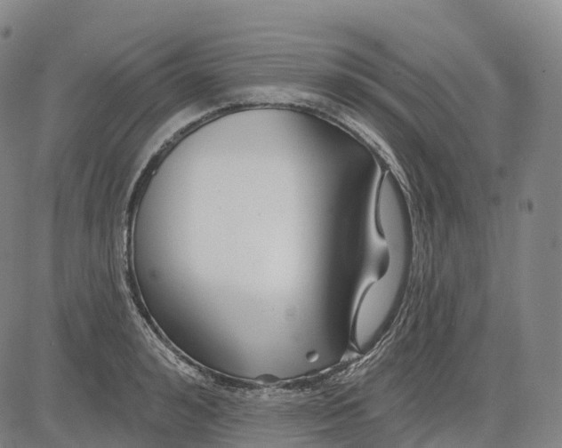 X0000081420992200702021623