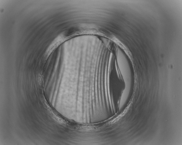 X0000081420993200702021623