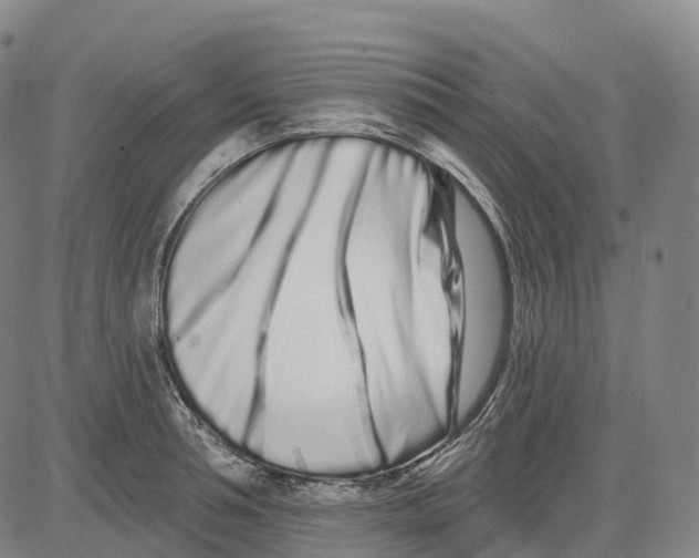 X0000081420994200702021623