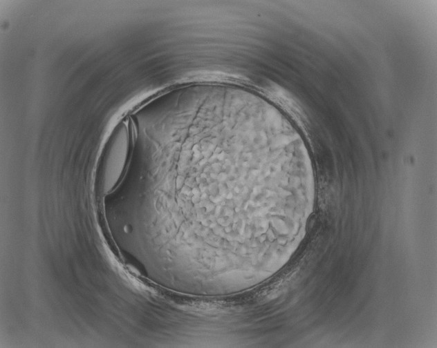 X0000081420995200702021623