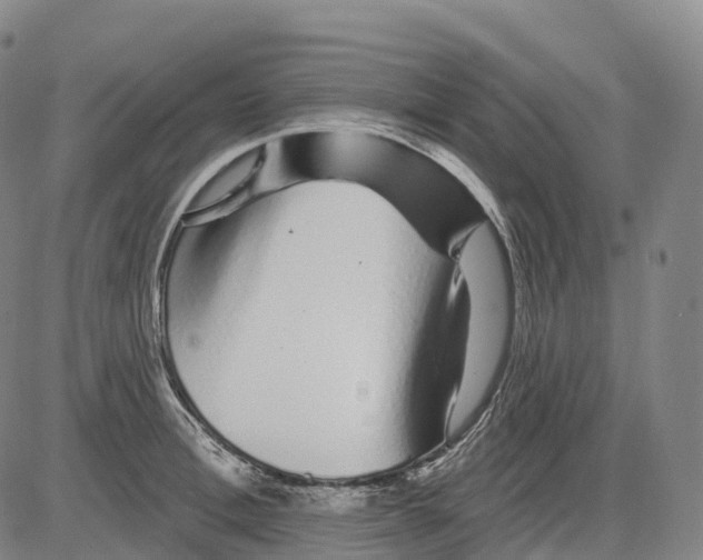 X0000081420996200702021623