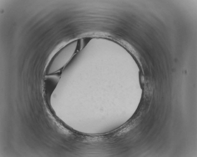 X0000081420997200702021623