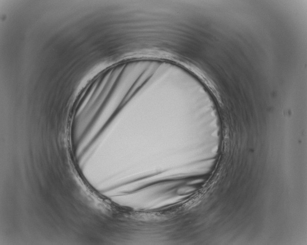 X0000081420998200702021623