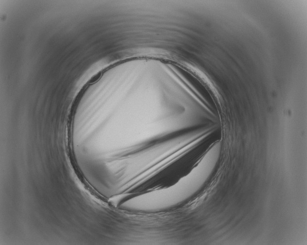 X0000081420999200702021623