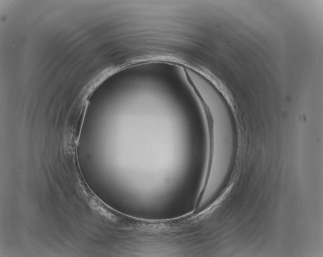 X0000081421001200702021623