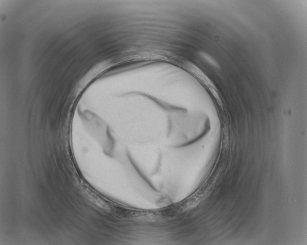 X0000081421002200702021623