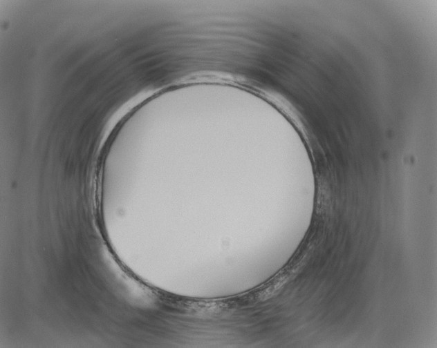 X0000081421003200702021623