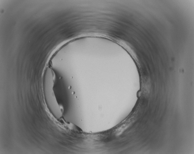 X0000081421004200702021623