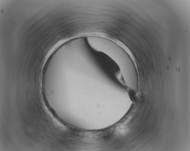 X0000081421005200702021623