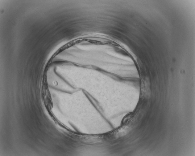 X0000081421007200702021623