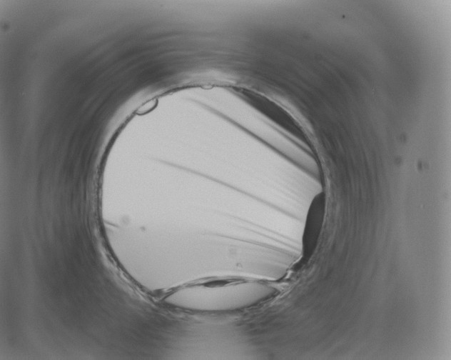 X0000081421008200702021623