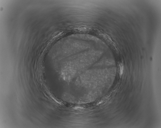 X0000081421009200702021622