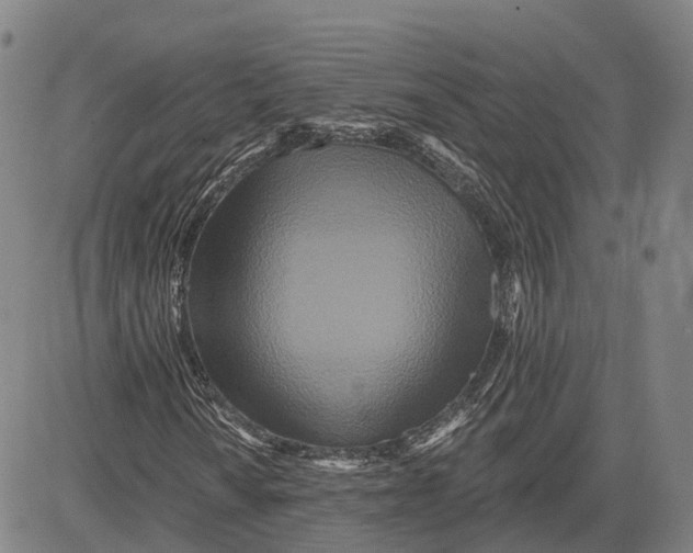 X0000081421010200702021622