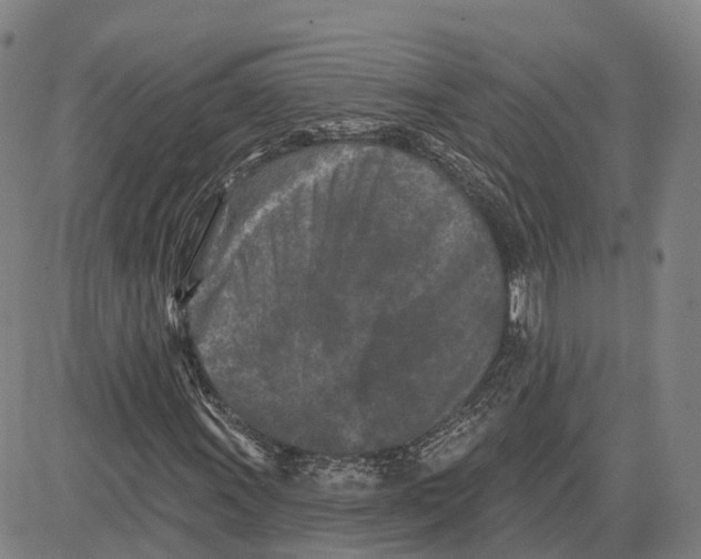 X0000081421011200702021622