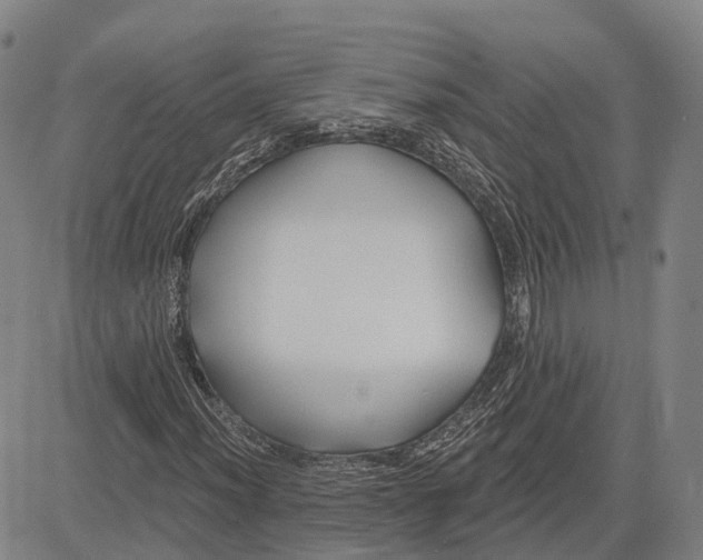 X0000081421012200702021622