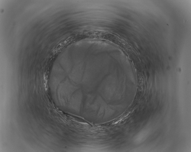 X0000081421013200702021622