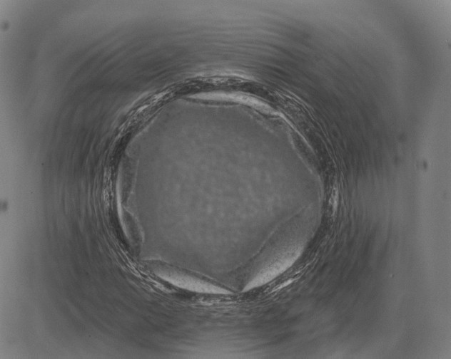 X0000081421014200702021622