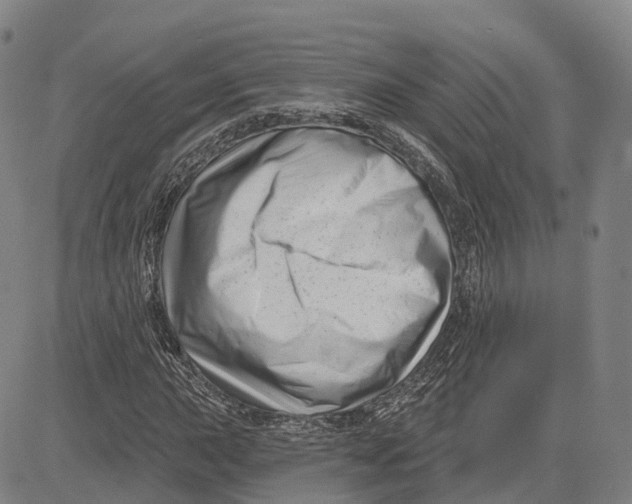 X0000081421015200702021622