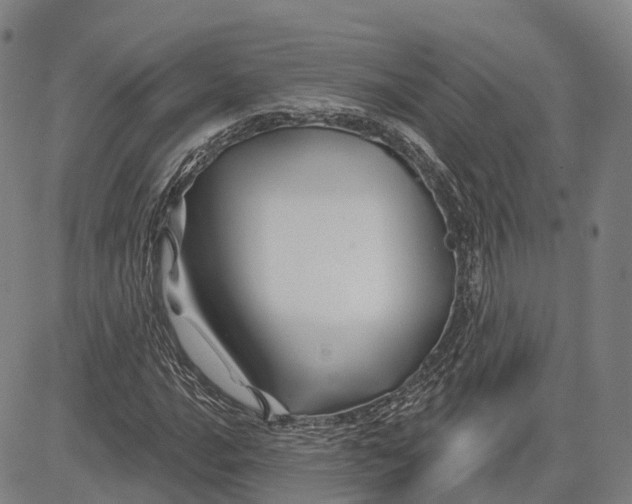 X0000081421016200702021622