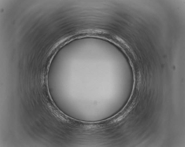 X0000081421017200702021622