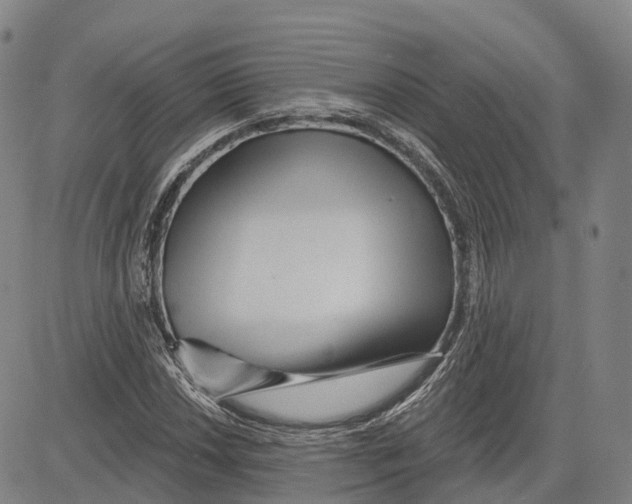 X0000081421018200702021622