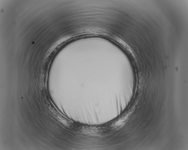 X0000081421019200702021622