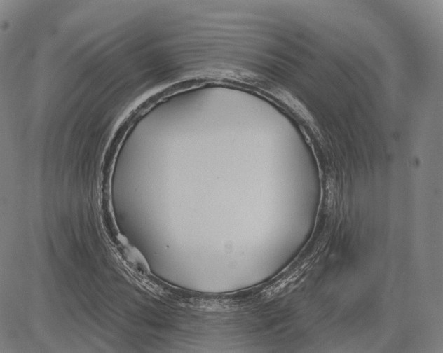 X0000081421020200702021622