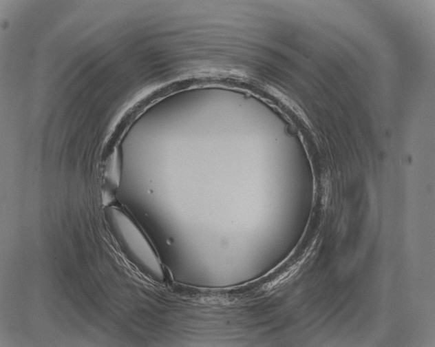 X0000081421021200702021622