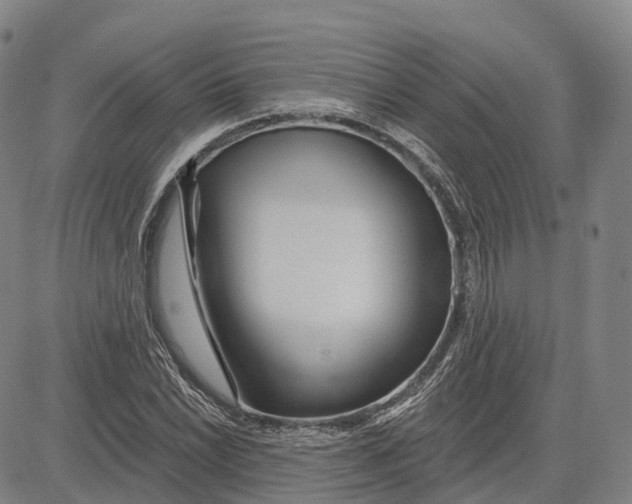 X0000081421022200702021622