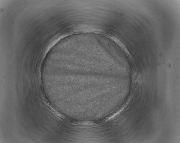 X0000081421023200702021622