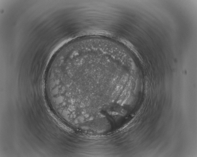 X0000081421024200702021622