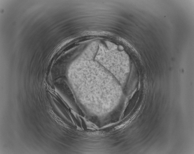 X0000081421025200702021622