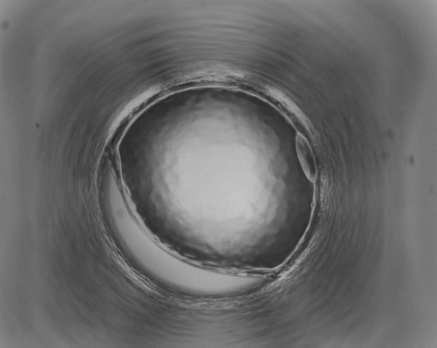 X0000081421026200702021622