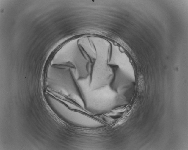 X0000081421028200702021622