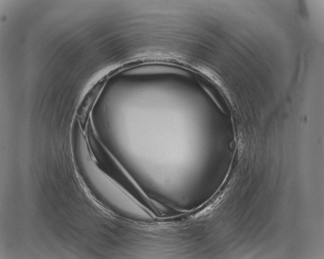 X0000081421030200702021622