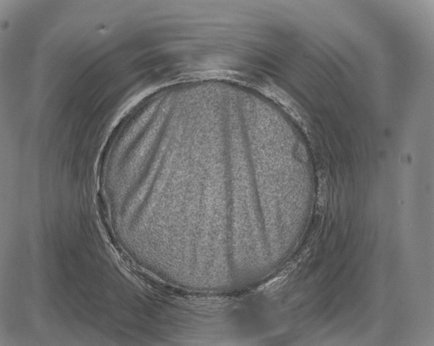 X0000081421031200702021622