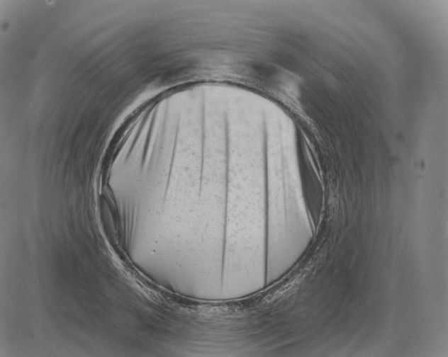 X0000081421032200702021622