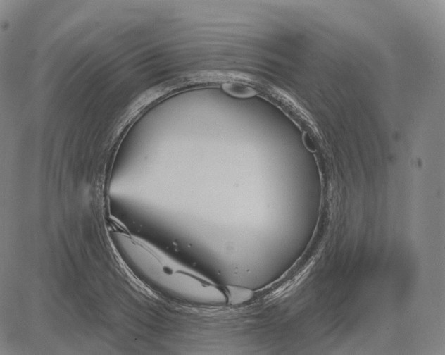 X0000081421033200702021622