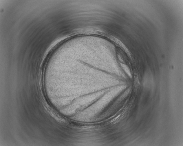 X0000081421035200702021622